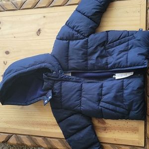 NWT 2T boys baby gap jacket